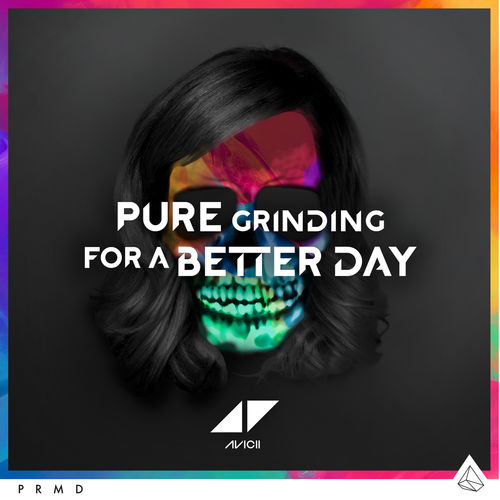 Avicii: For A Better Day