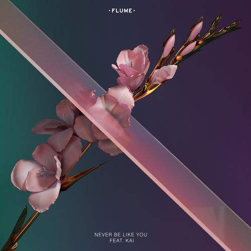 Flume feat. Kai: Never Be Like You