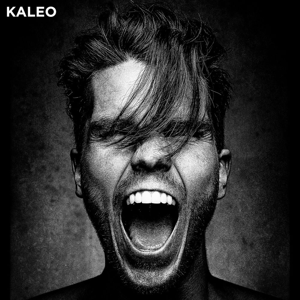 Kaleo: Break My Baby