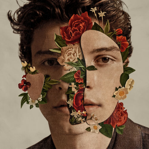 Shawn Mendes feat. Julia Michaels: Like To Be You